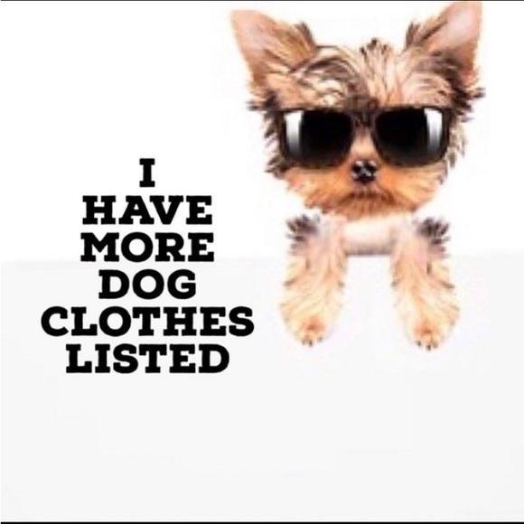 Dog hooded sweatshirt Halloween XS - Picture 4 of 4